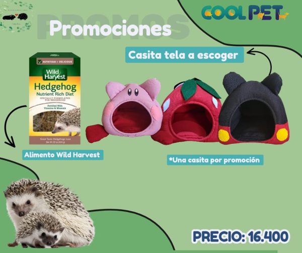 Promoción