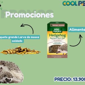 Promoción