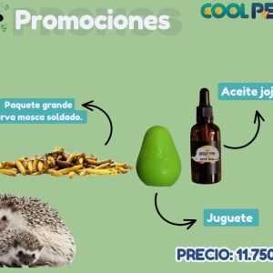 Promoción
