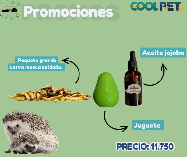 Promoción
