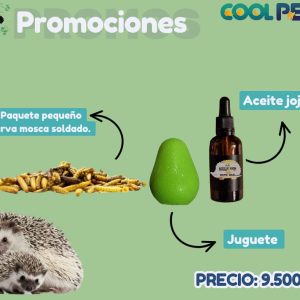 Promoción