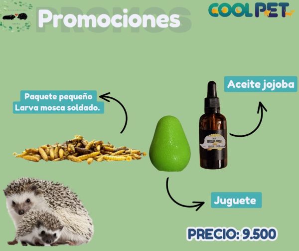 Promoción