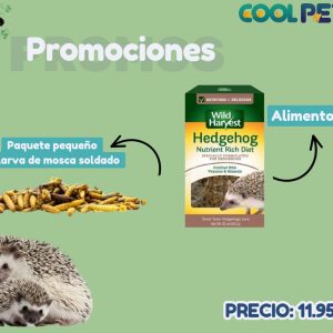 Promoción