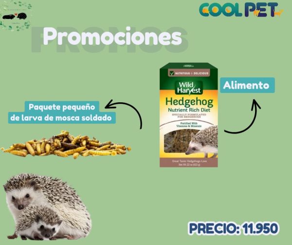 Promoción