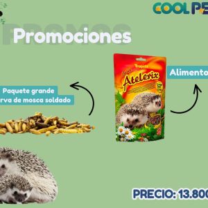 Promoción