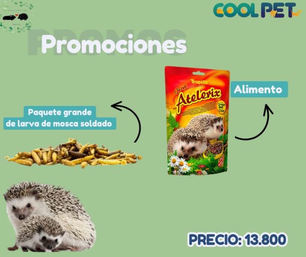 Promoción