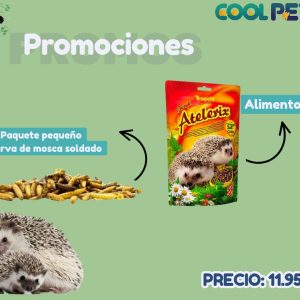 Promoción