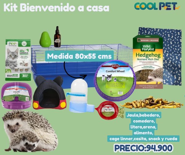 Kit Bienvenido a Casa para Erizo