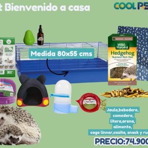 Kit Bienvenida a Casa para Erizo