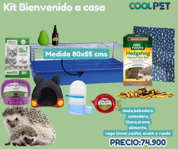 Kit Bienvenida a Casa para Erizo