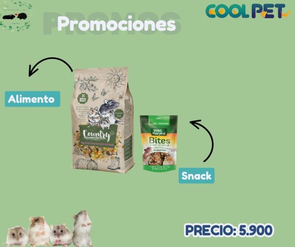 Promoción