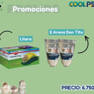 Promoción