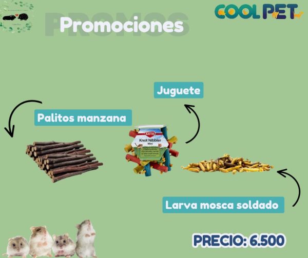 Promoción