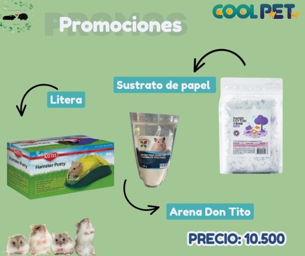 Promoción