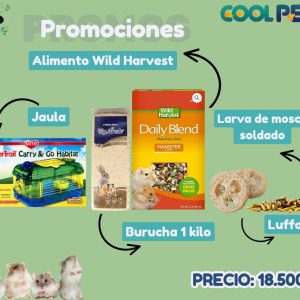Promoción