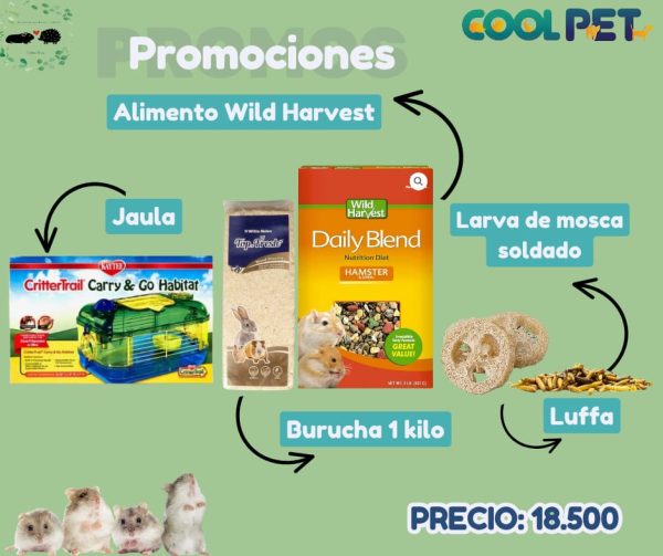 Promoción